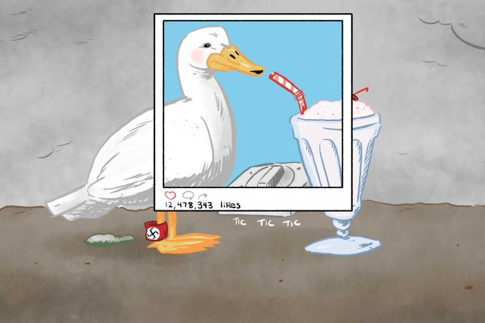 milkshake duck