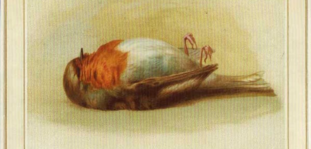 Victorian Christmas cards dead robin