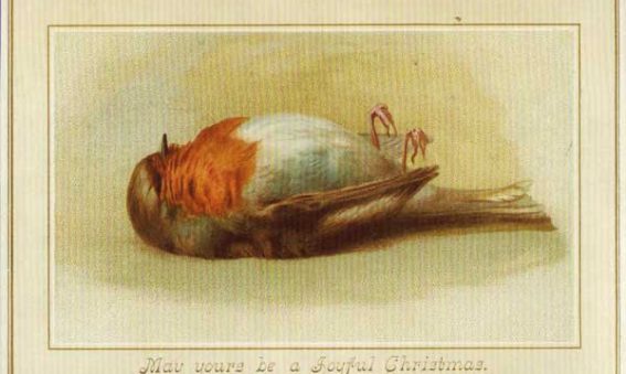 Victorian Christmas cards dead robin