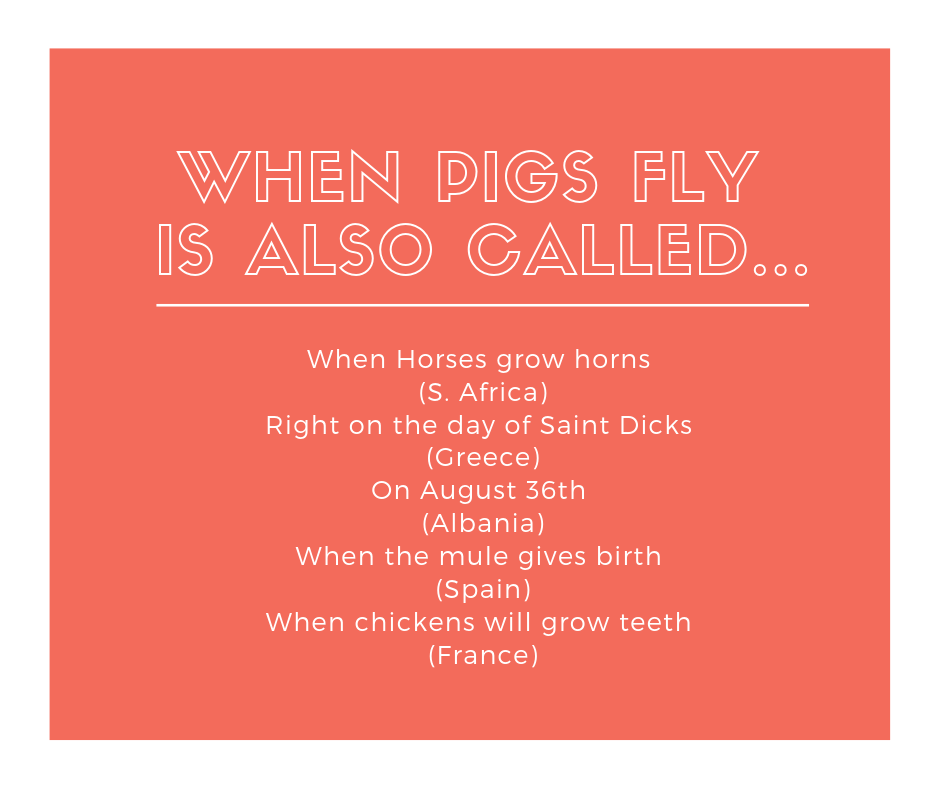 Pigs Fly