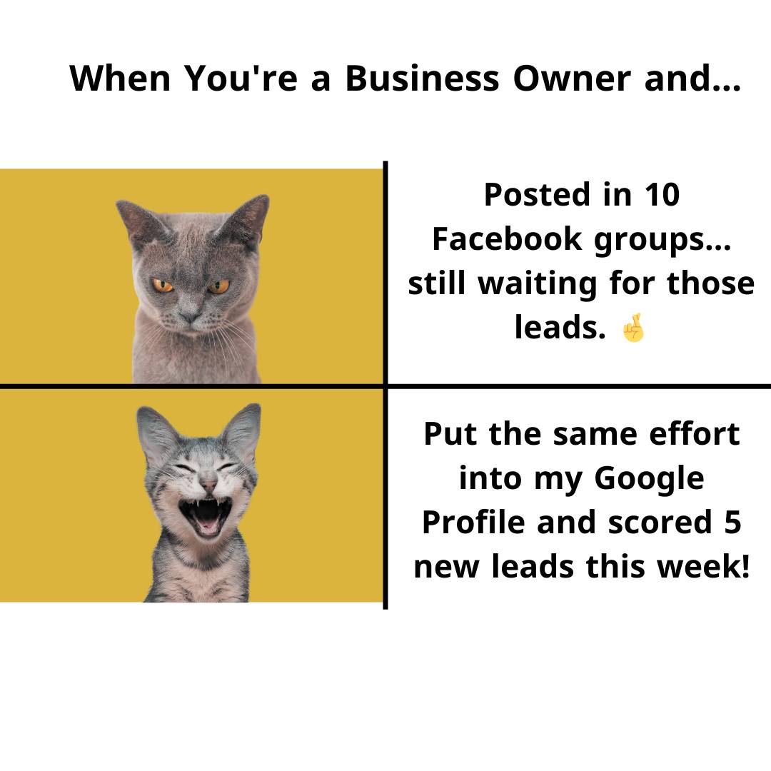 Optimising Google Business Profile